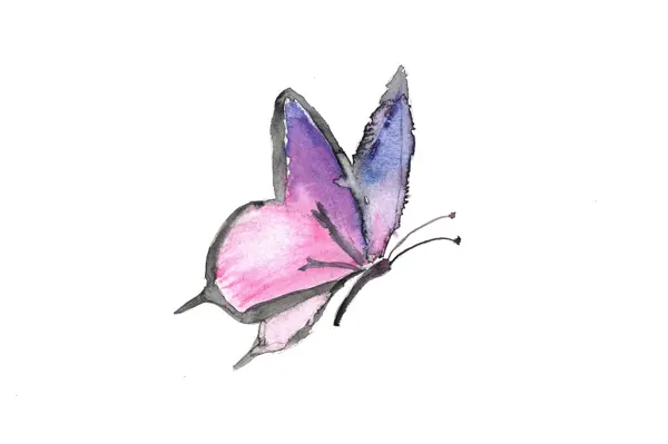Butterfly, a watercolor by a young artist
