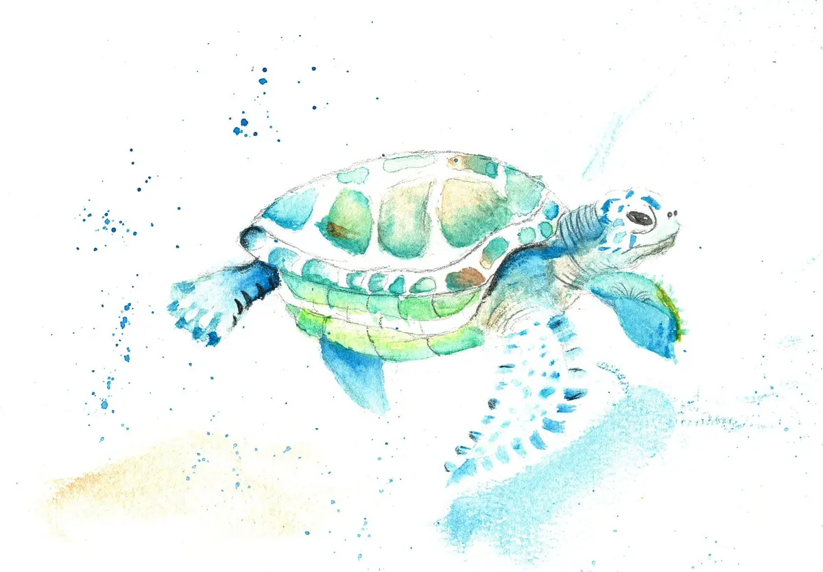 Sea Turtle, watercolor painting by a young artist