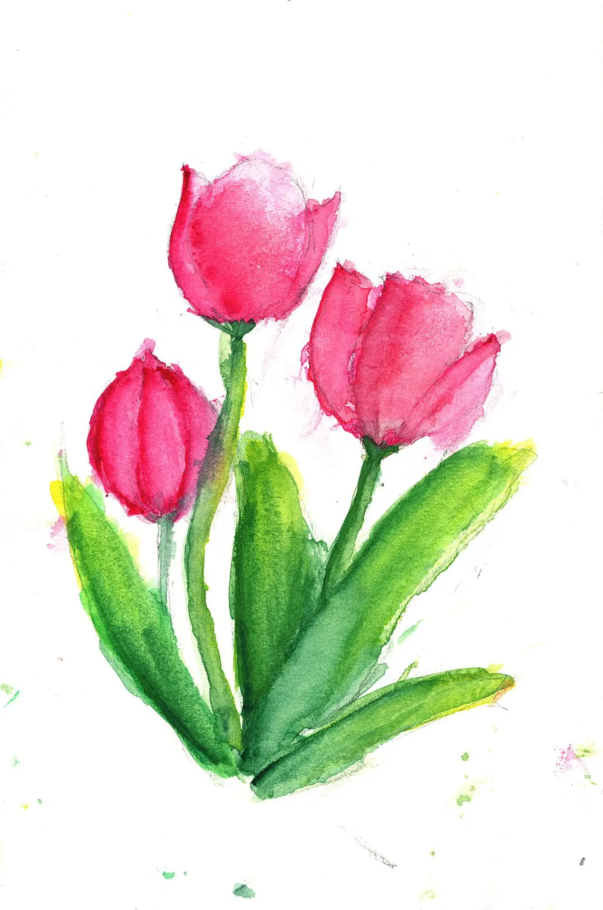 Pink Tulips, watercolor painting by a young artist